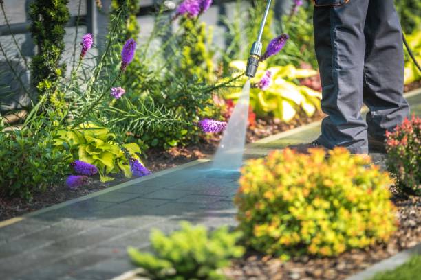 Best Restaurant Pressure Washing  in Cuba City, WI