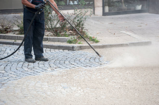 Best Driveway Pressure Washing  in Cuba City, WI